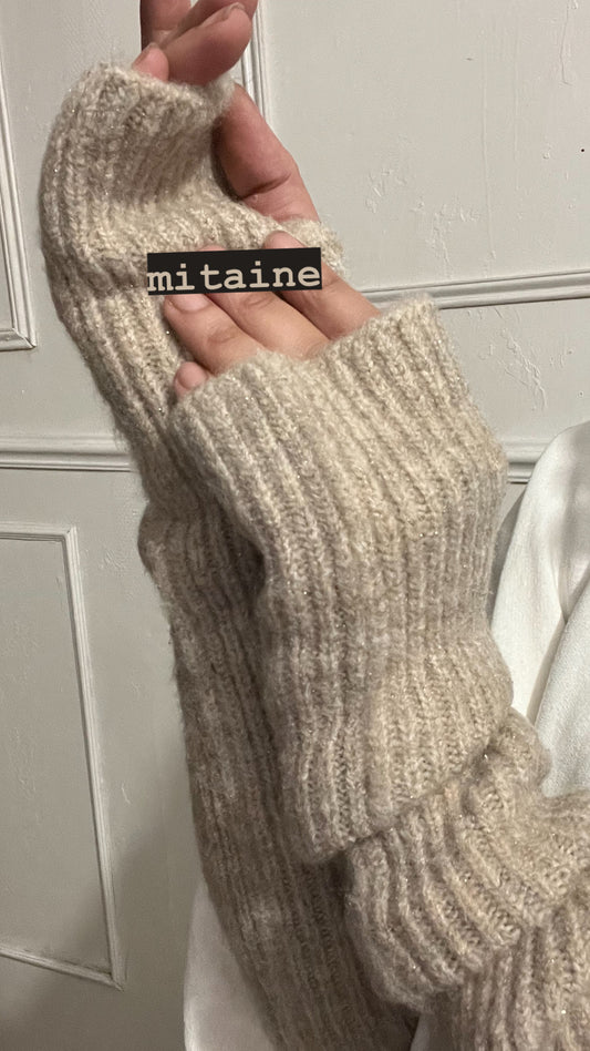 MESH MITT